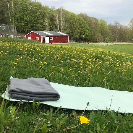 Stenlid - Med Naturen Och Lugnet I Fokus Veddige Buitenkant foto