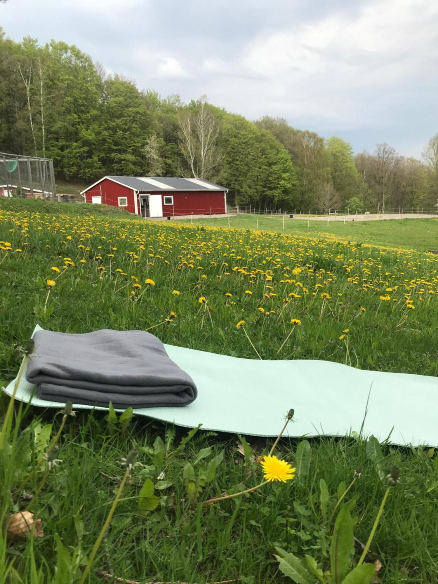 Stenlid - Med Naturen Och Lugnet I Fokus Veddige Buitenkant foto