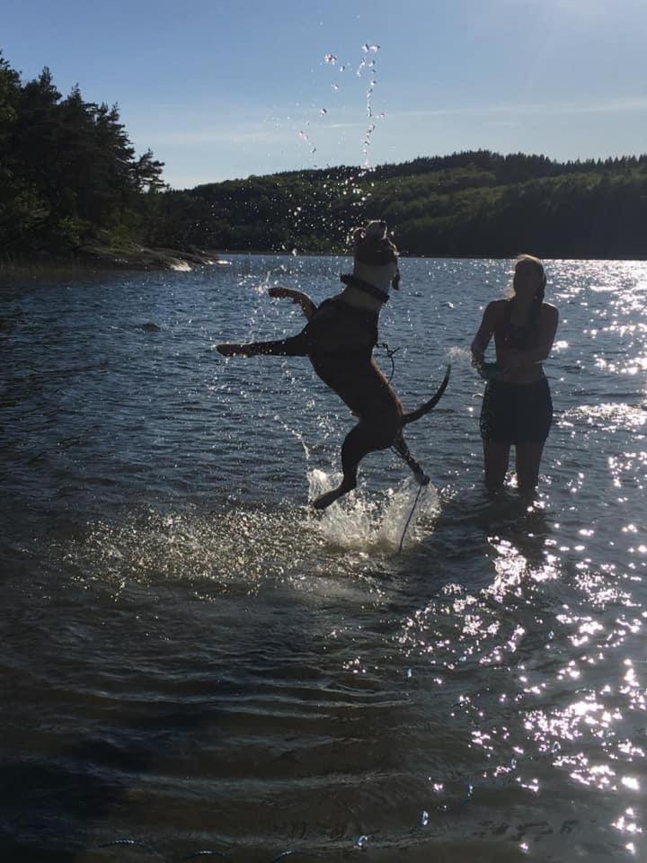 Stenlid - Med Naturen Och Lugnet I Fokus Veddige Kamer foto